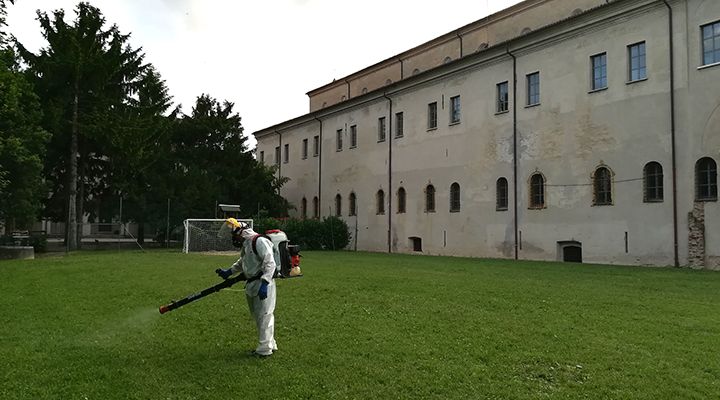 prato