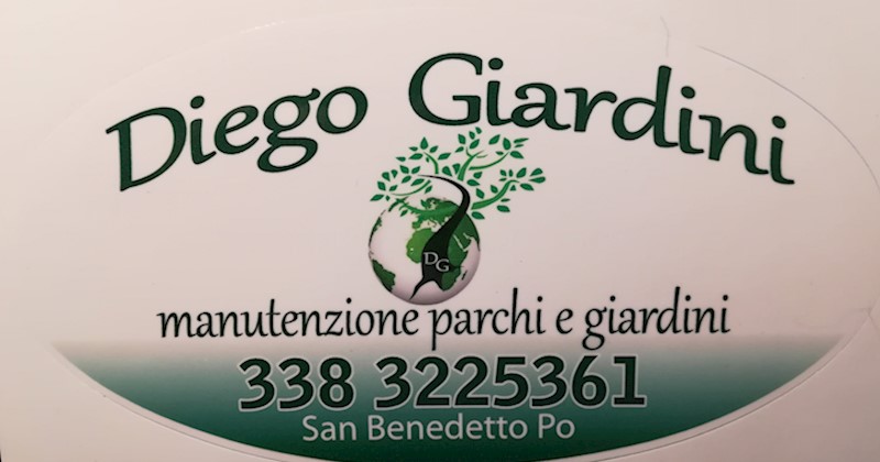Immagine articolo