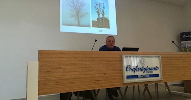 Immagine articolo