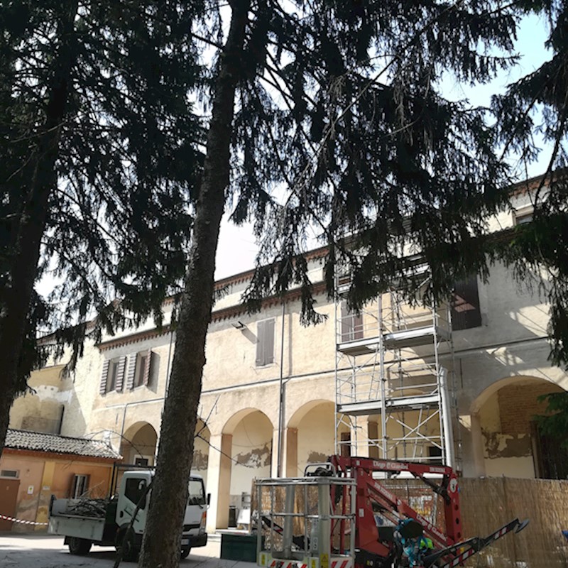 Potatura rami secchi degli abeti dell'oratorio in Polirone