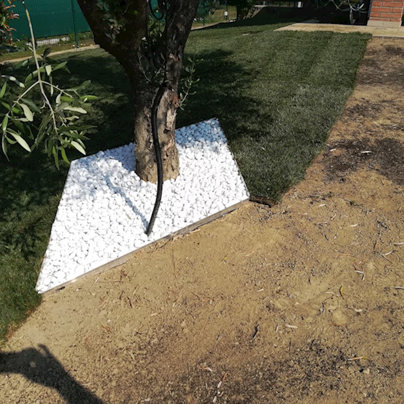 Stesura prato a rotoli con inserto per Ulivo