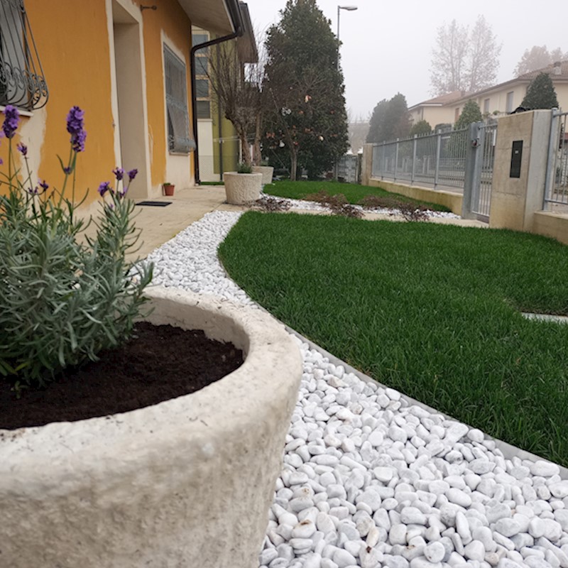 Lavanda in fioriera Arkansas su ciottolo bianco carrara, prato a rotoli